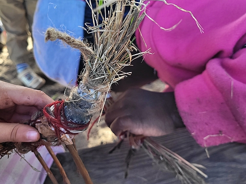 Eine Kinderhand hält eine aus Gras, Stöcken und Faden gebastelte Tierpuppe